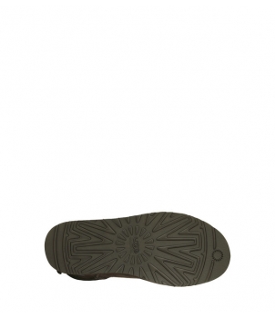 Bailey Bow II Chocolate 1016225
